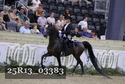 25R13_03383 thumbnail