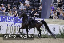 25R13_03386 thumbnail