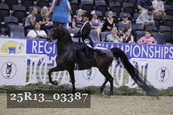 25R13_03387 thumbnail