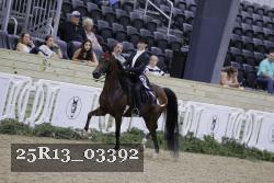 25R13_03392 thumbnail