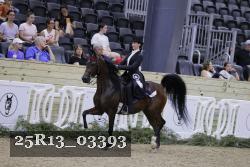 25R13_03393 thumbnail