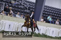 25R13_03398 thumbnail