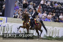 25R13_03400 thumbnail