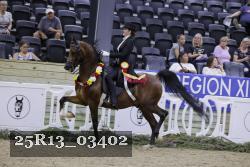 25R13_03402 thumbnail