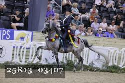 25R13_03407 thumbnail
