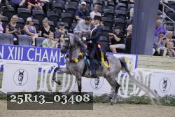 25R13_03408 thumbnail