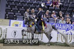 25R13_03409 thumbnail