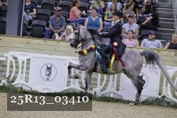 25R13_03410 thumbnail