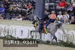 25R13_03411 thumbnail