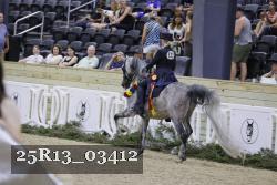 25R13_03412 thumbnail