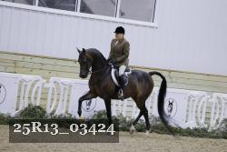 25R13_03424 thumbnail