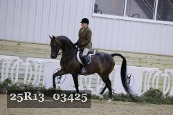 25R13_03425 thumbnail