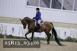 25R13_03426 thumbnail