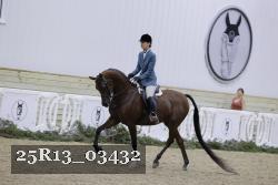25R13_03432 thumbnail