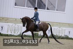 25R13_03433 thumbnail