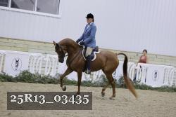 25R13_03435 thumbnail