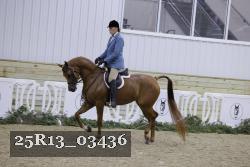 25R13_03436 thumbnail