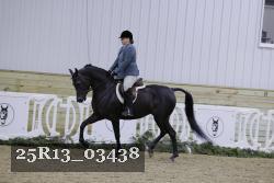 25R13_03438 thumbnail