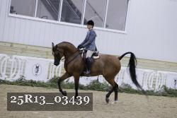 25R13_03439 thumbnail