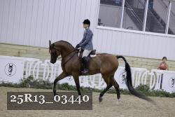 25R13_03440 thumbnail