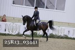 25R13_03441 thumbnail