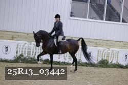 25R13_03442 thumbnail