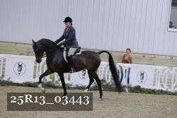 25R13_03443 thumbnail