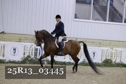 25R13_03445 thumbnail