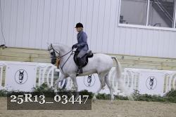 25R13_03447 thumbnail