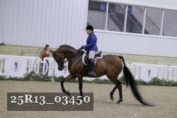 25R13_03450 thumbnail