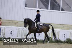 25R13_03451 thumbnail