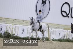 25R13_03452 thumbnail