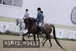 25R13_03453 thumbnail