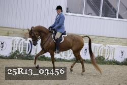 25R13_03456 thumbnail