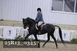 25R13_03457 thumbnail