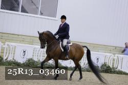 25R13_03460 thumbnail