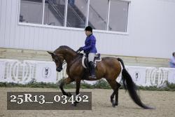 25R13_03462 thumbnail