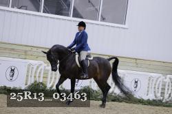 25R13_03463 thumbnail