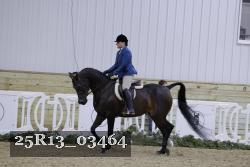 25R13_03464 thumbnail