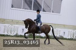 25R13_03465 thumbnail