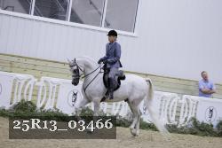 25R13_03466 thumbnail