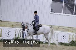 25R13_03467 thumbnail