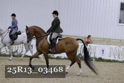 25R13_03468 thumbnail