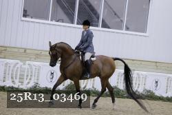 25R13_03469 thumbnail