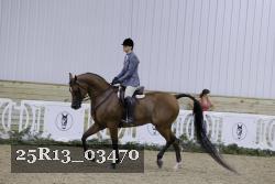 25R13_03470 thumbnail
