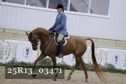 25R13_03471 thumbnail