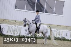25R13_03473 thumbnail