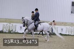 25R13_03475 thumbnail