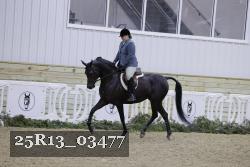 25R13_03477 thumbnail