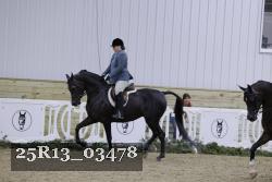 25R13_03478 thumbnail